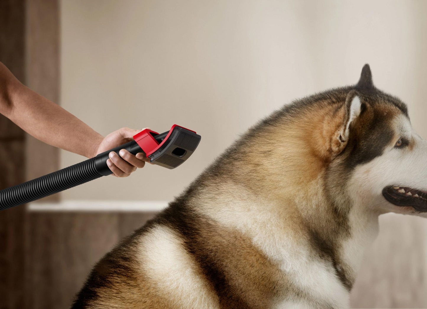 مكنسة Dyson V16 Piston Animal Dry cordless vacuum اللاسلكية – قوة شفط فائقة لتنظيف جاف ذكي